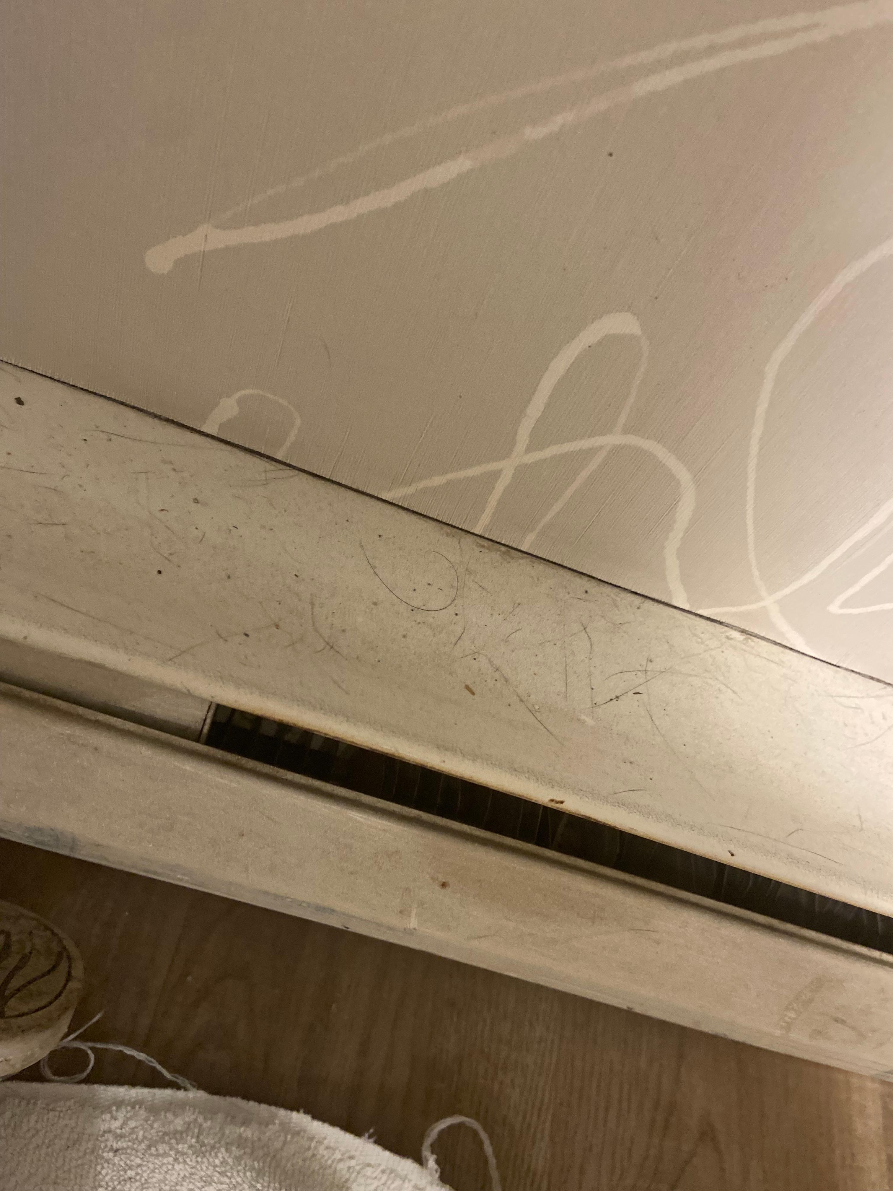 FILTHY floors, baseboards, doors, light switches etc. nothing has been wiped down in months. Likely since renovation. 