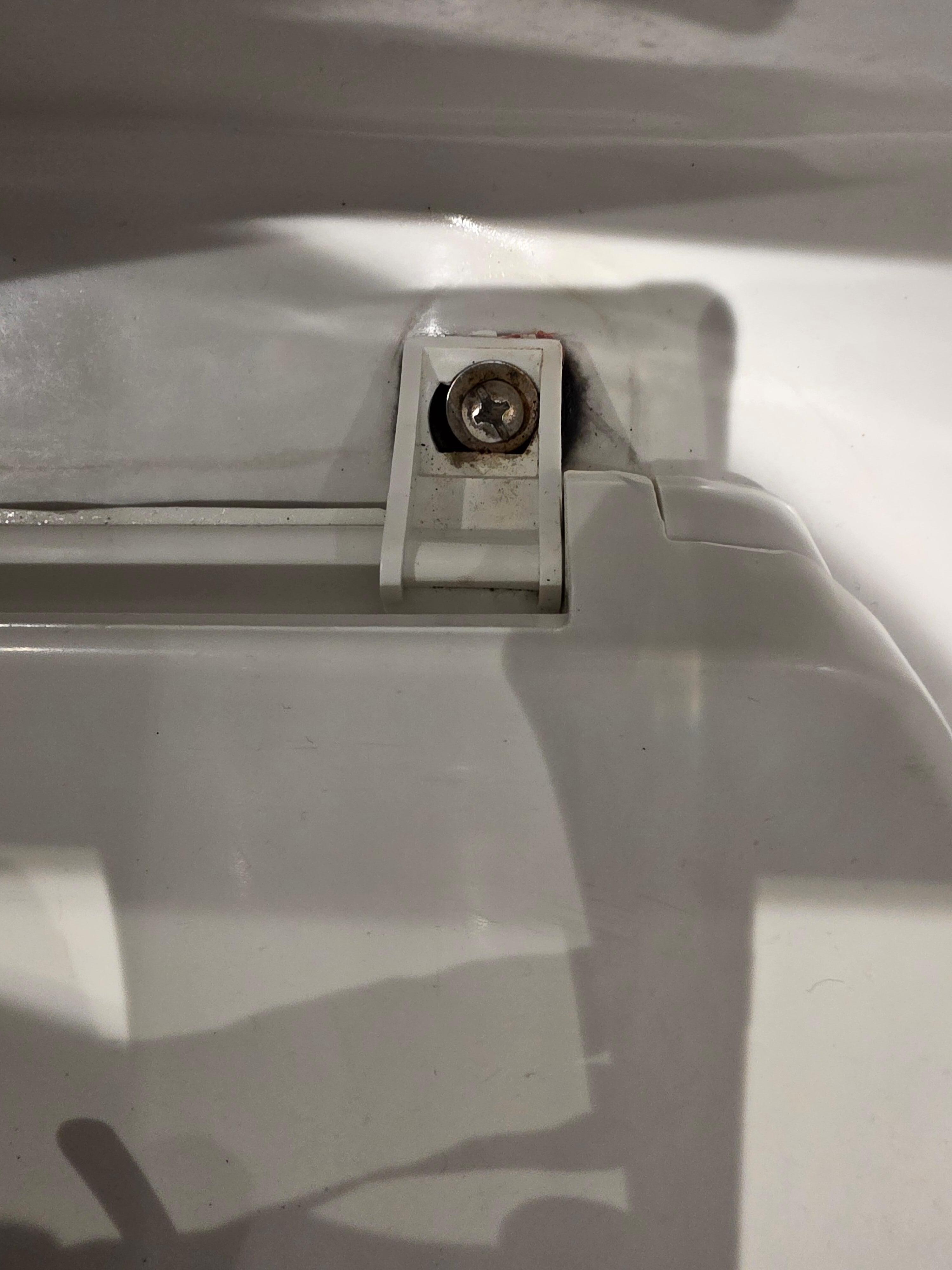 Black mold on the toilet.