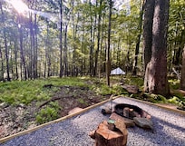 morning sun at the site