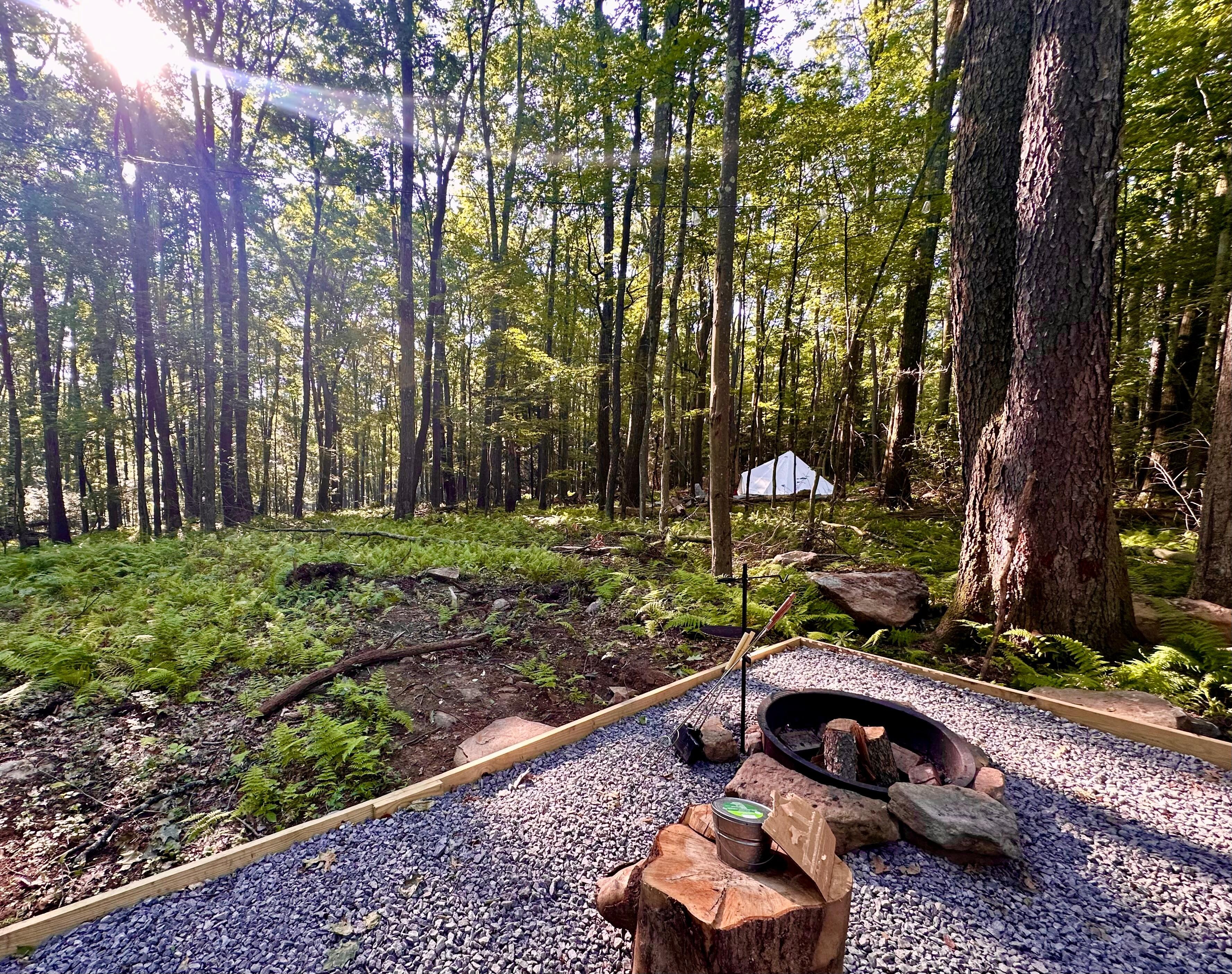 morning sun at the site