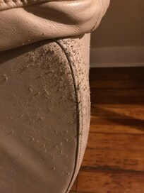 the sofas are old and scratched up