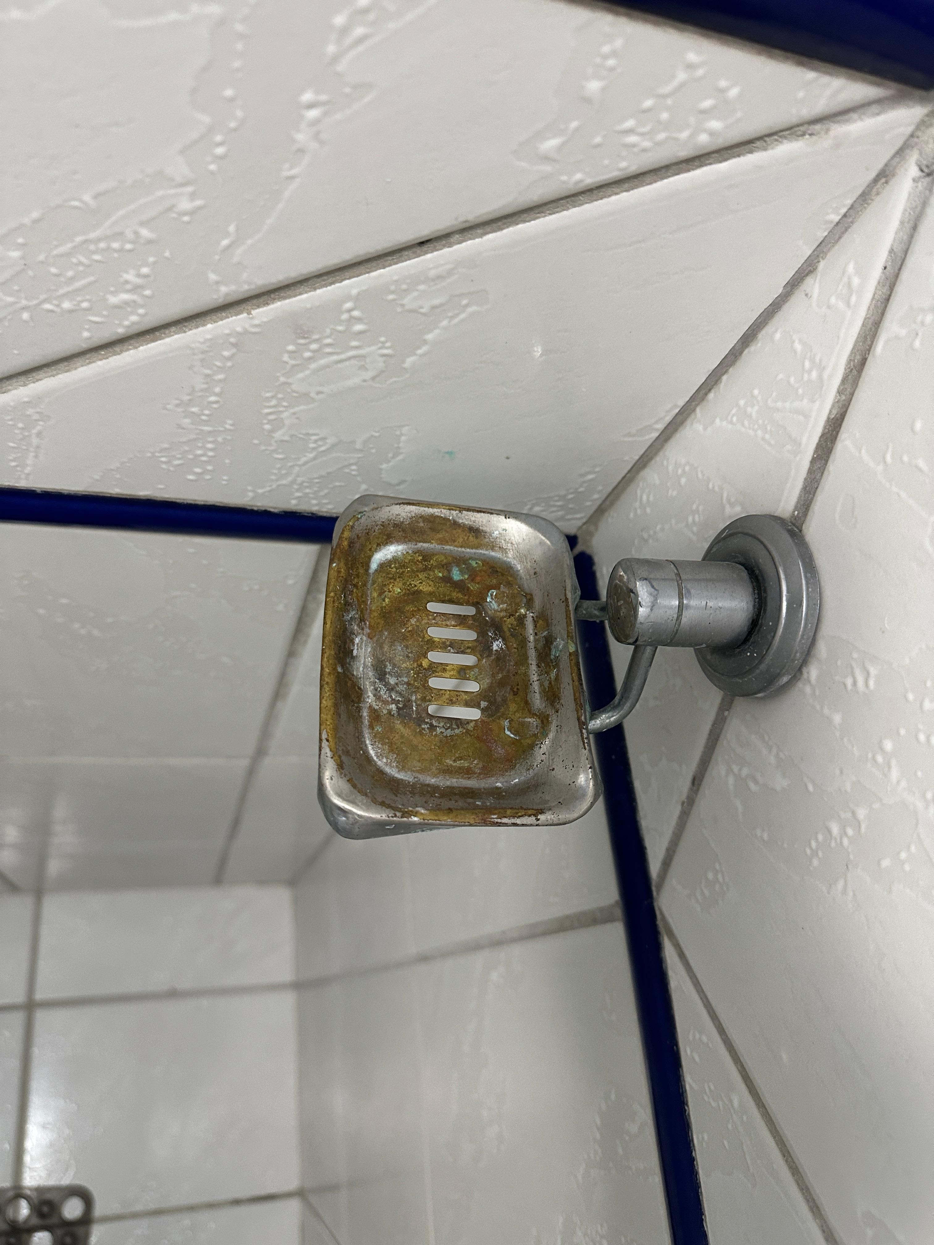 can’t put my soap there gross 