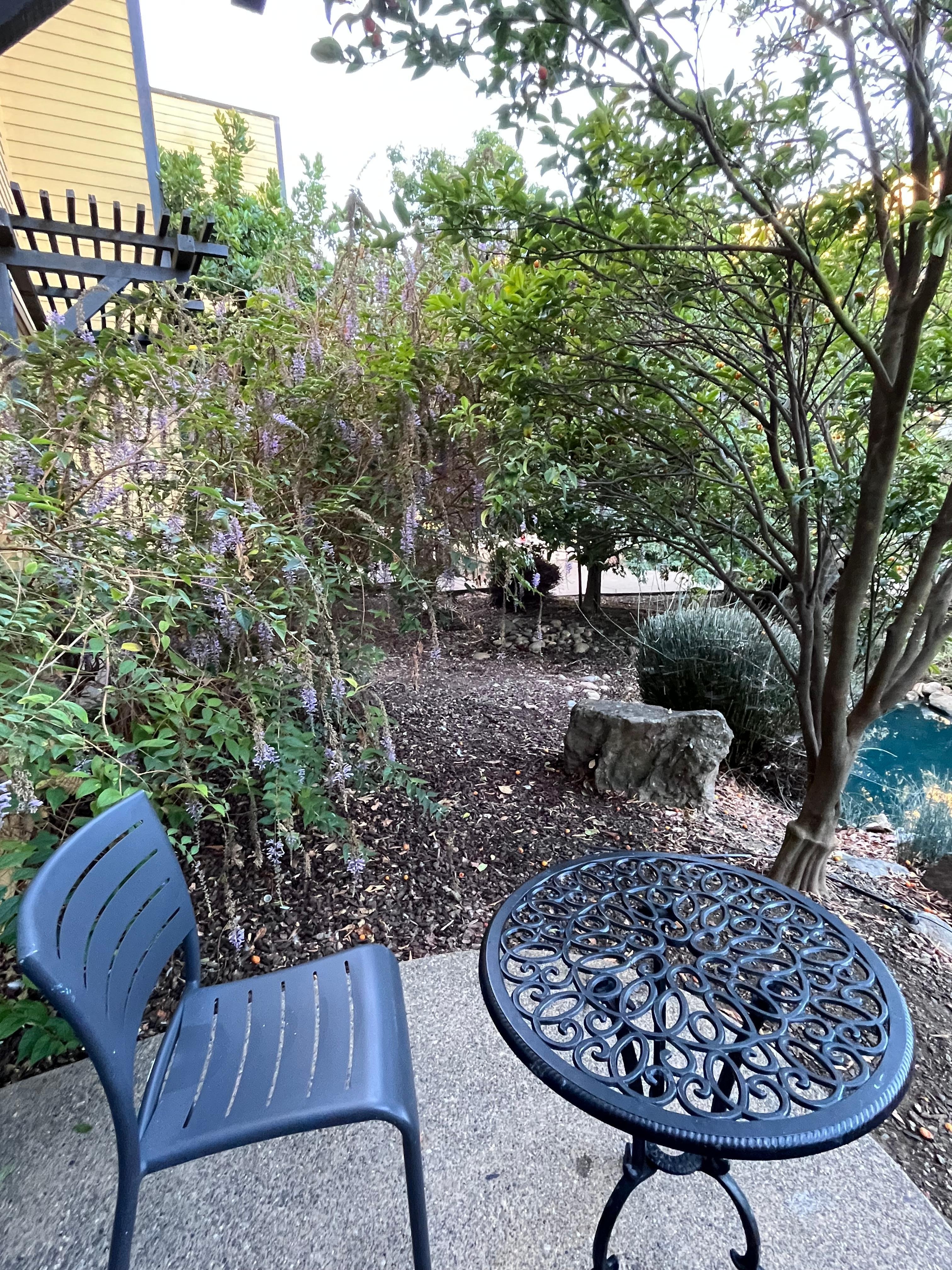 The patio of the room in the first floor