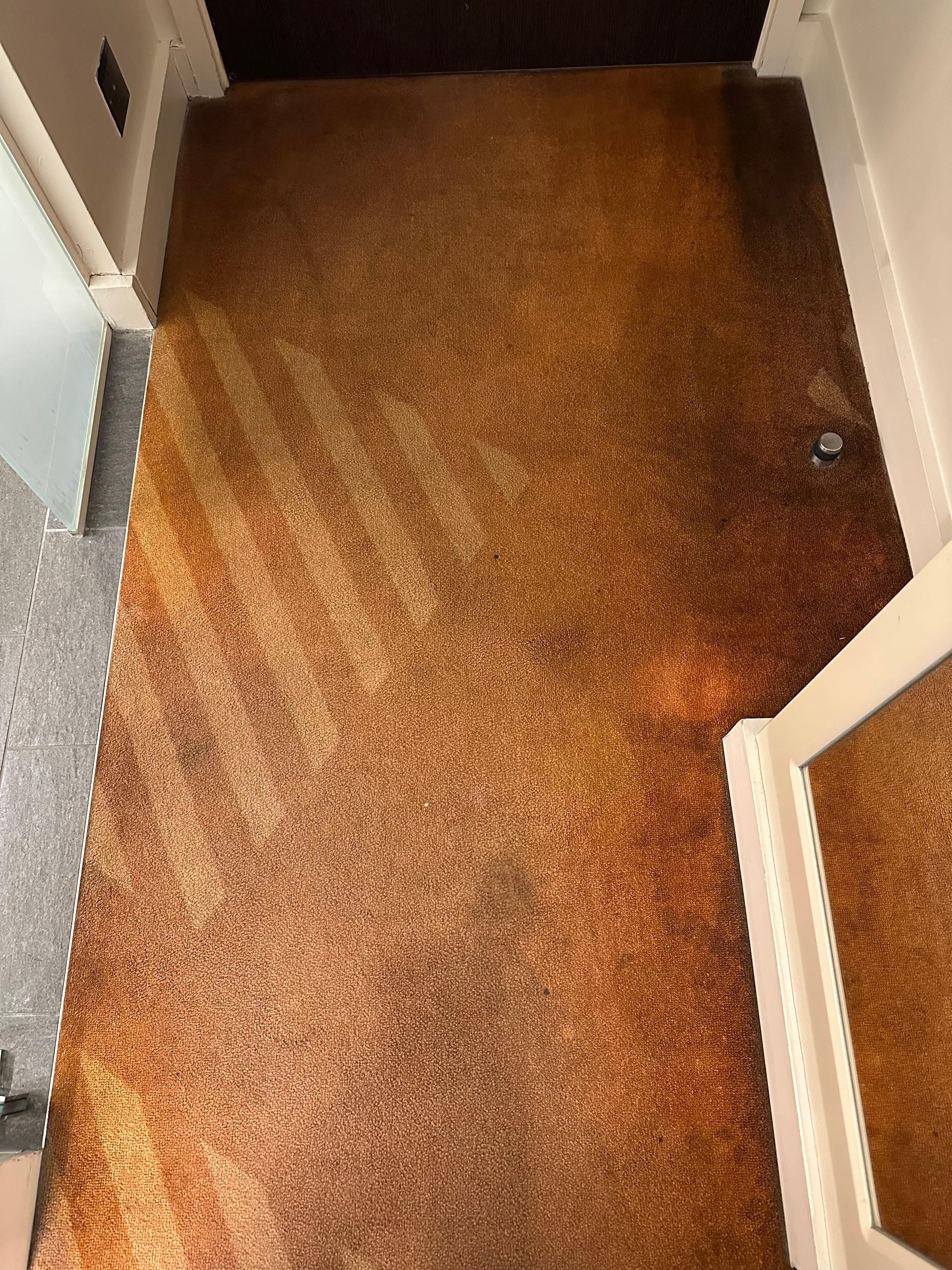 Dirty carpet with multiple stains.