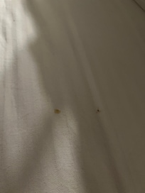 Stains on sheets in master bedroom
