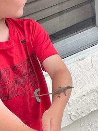 The enolies were friendly!