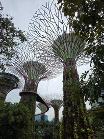 Gardens by the Bay - 10 mins train ride. Supergrove trees