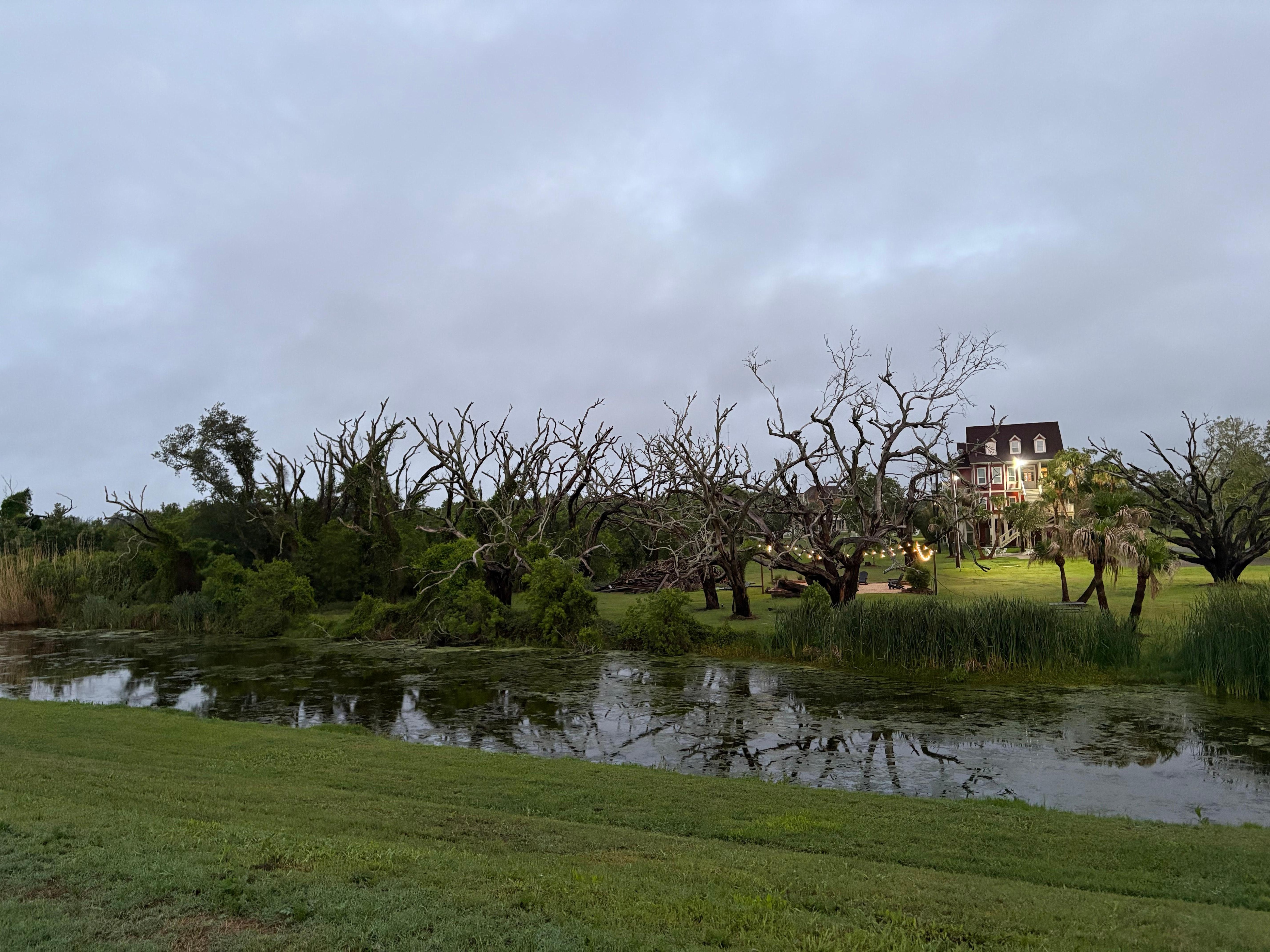 Dawn on the levee