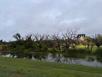 Dawn on the levee