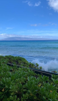 View Right outside my patio