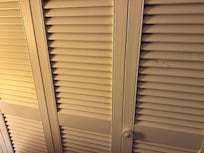 There was bed bugs