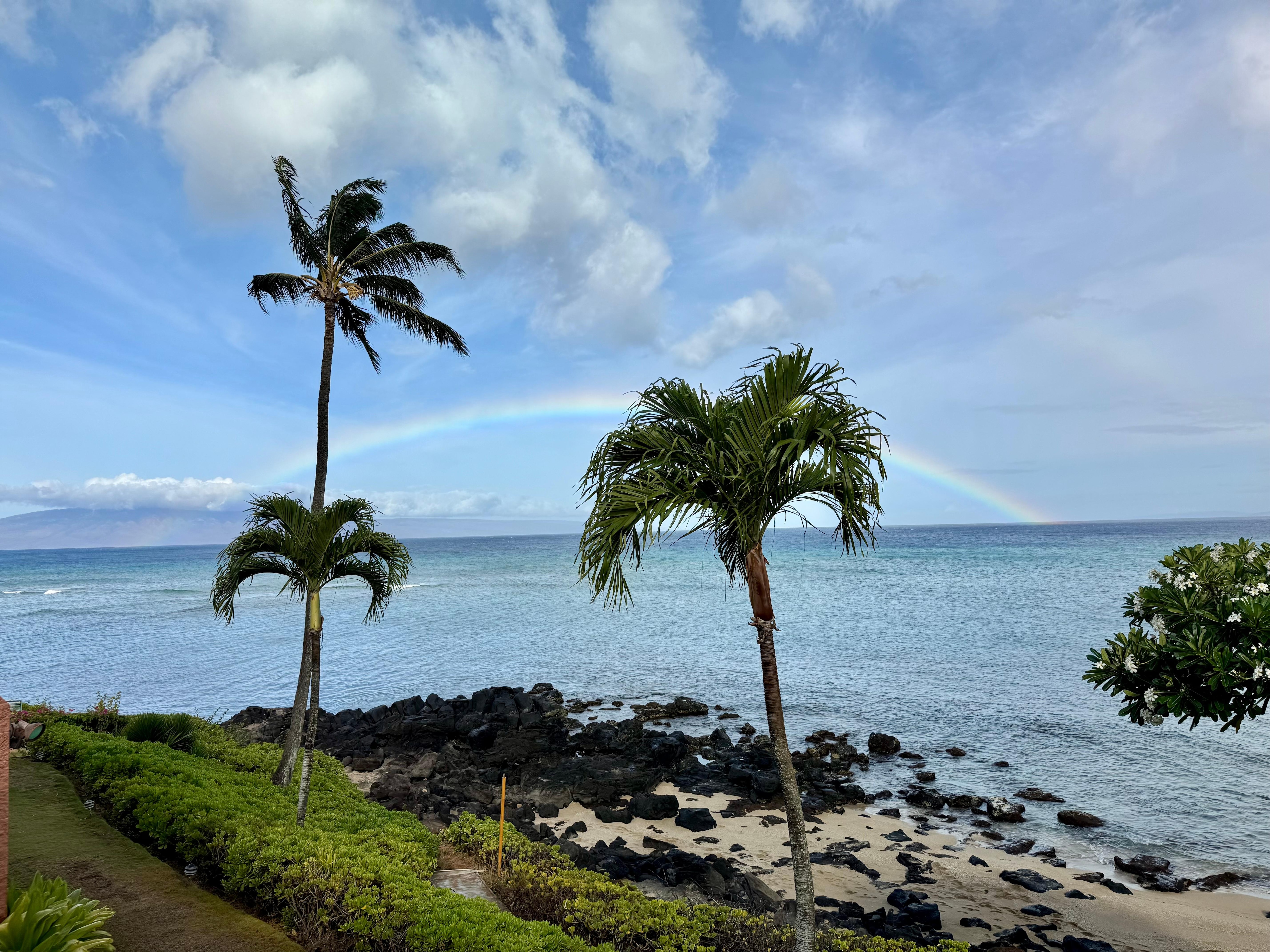 View from the balcony 