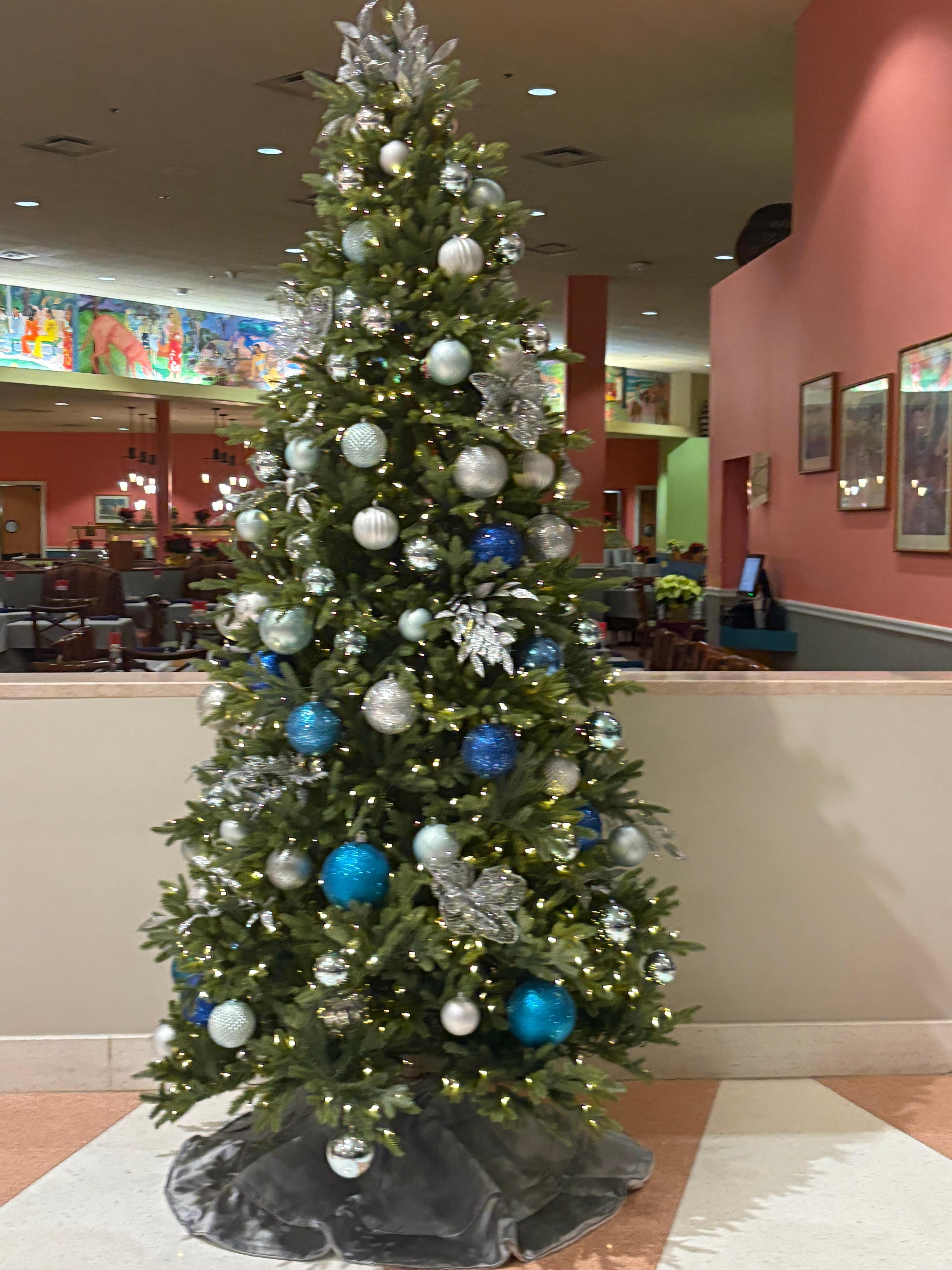 Had a lot of Christmas decorations to make it feel like home for the holidays 