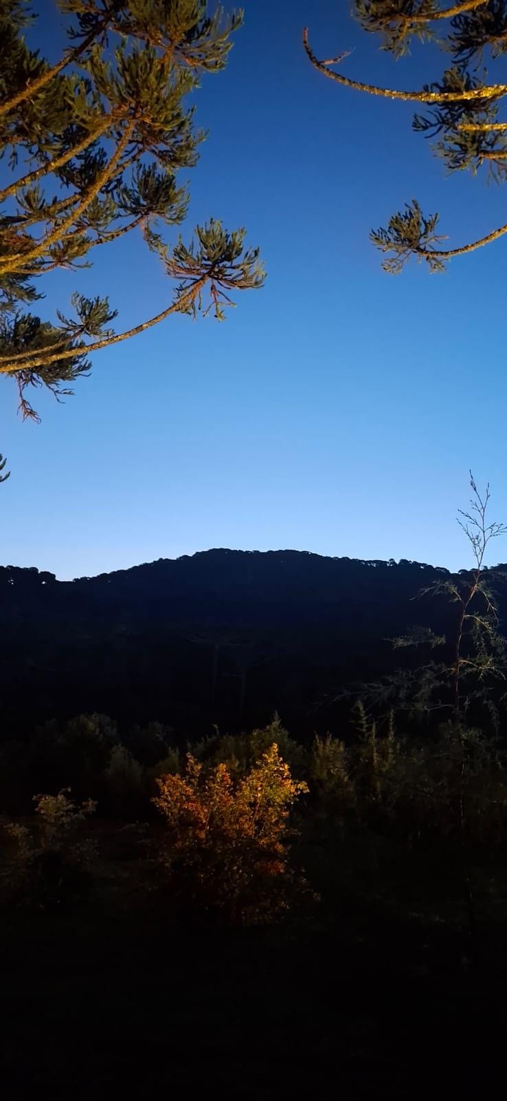 Vista dos fundos da cabana.