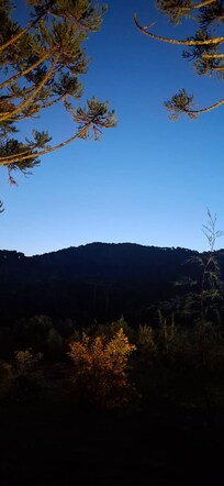 Vista dos fundos da cabana.