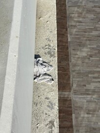 Outside of our dirt glass siding doors for our ocean view