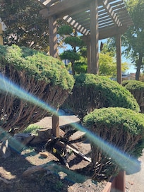 Around the neighborhood