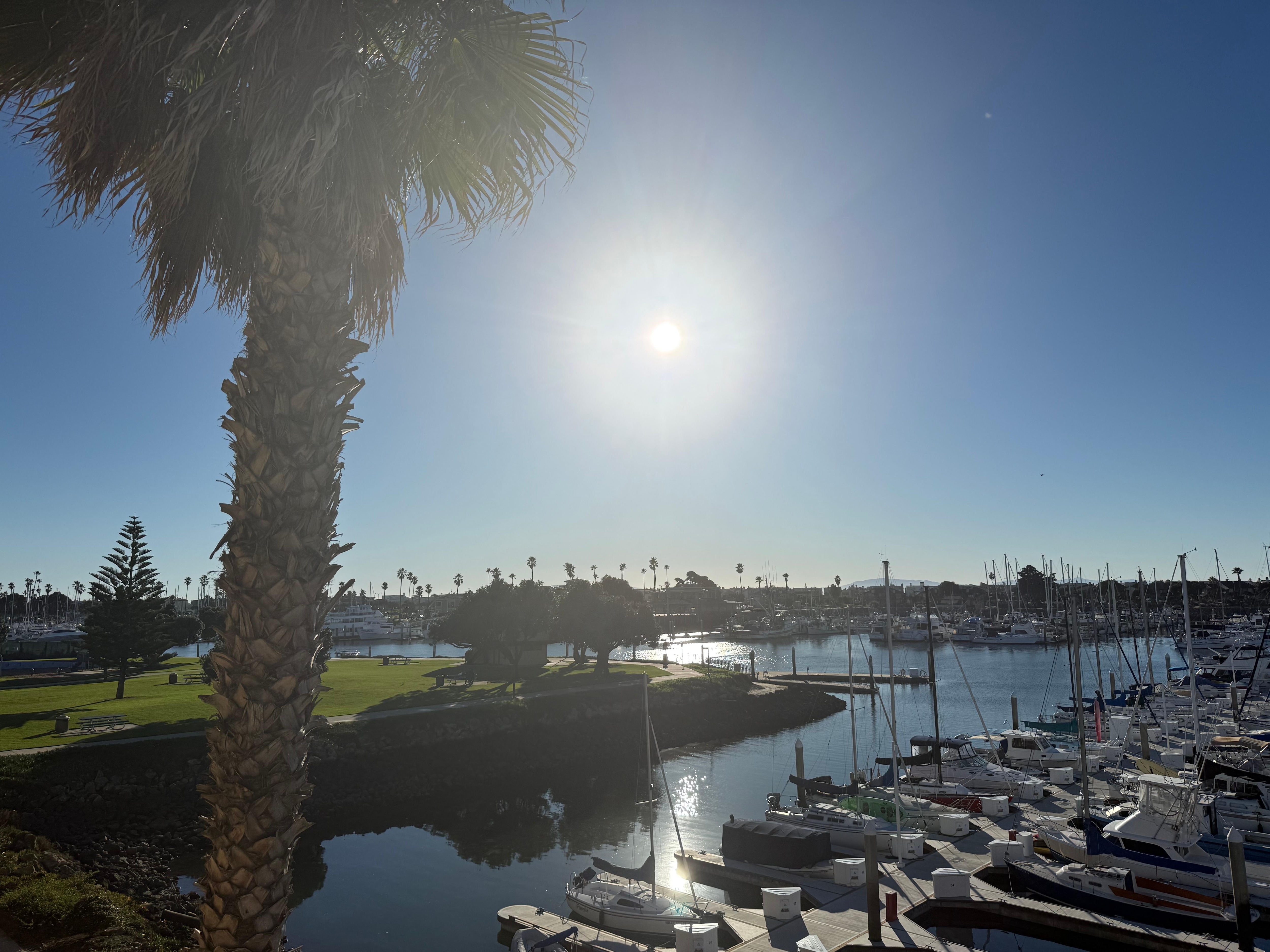 View of the marina from balcony