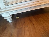 The Ritz cracker we found under the  cabinet.