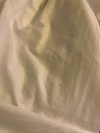 Dirty sheets