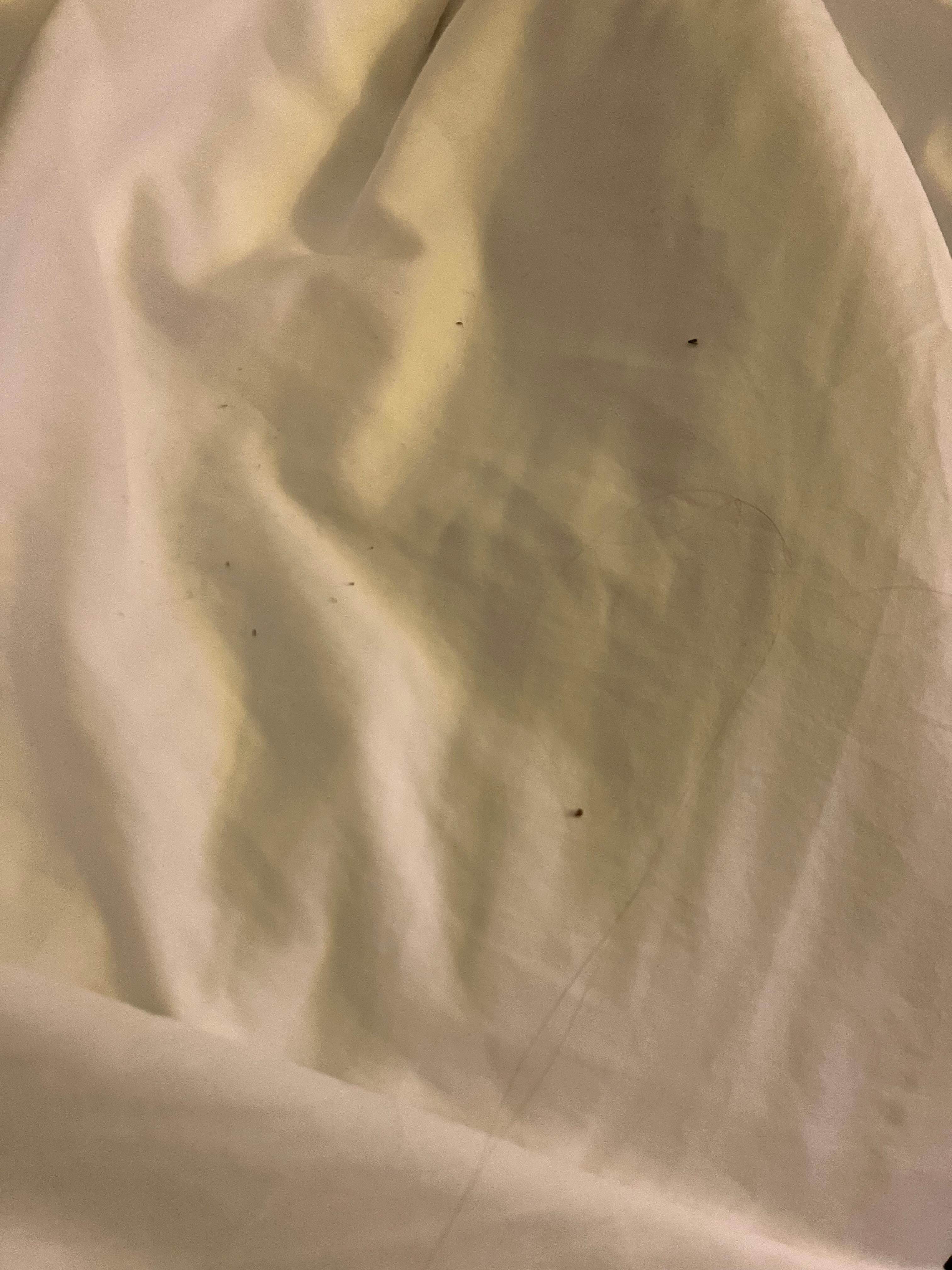 Dirty sheets
