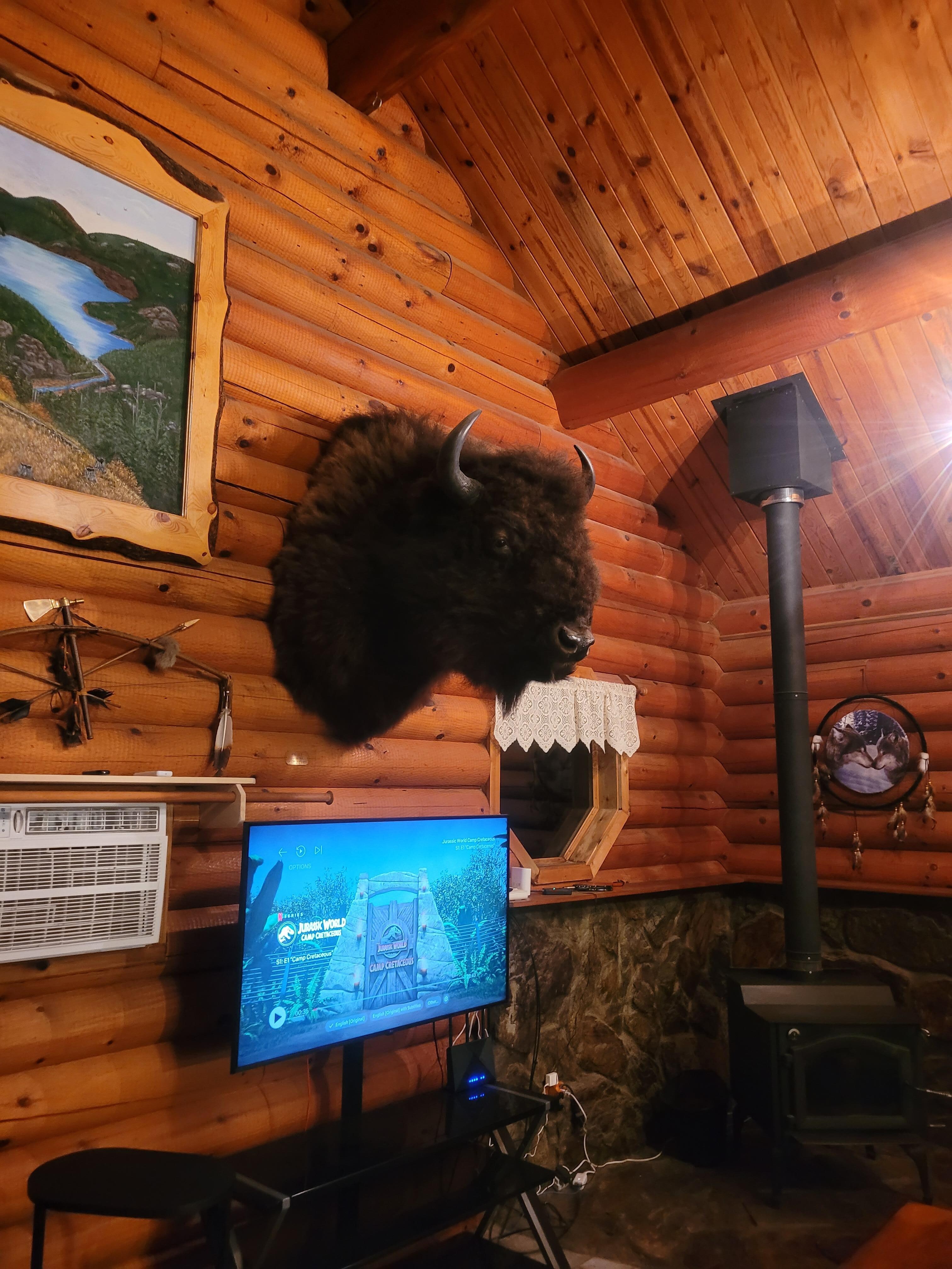 Buffalo in living room