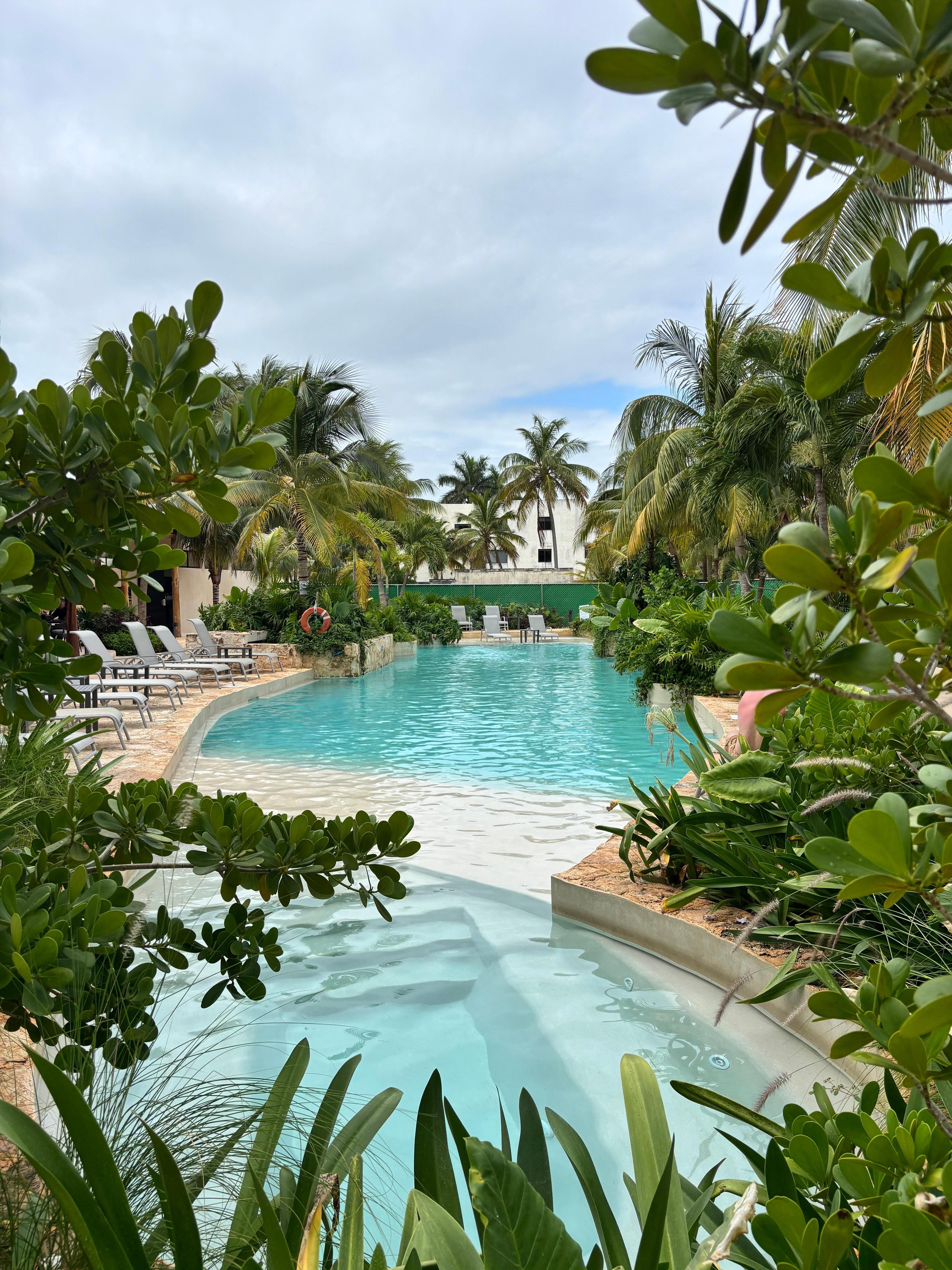 Swimimg pool was very tropical.