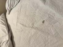 thread worn bedding