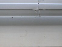 Gnats on window sill / also had some flying around apartment