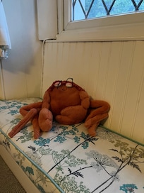 Crispin Crab
đ