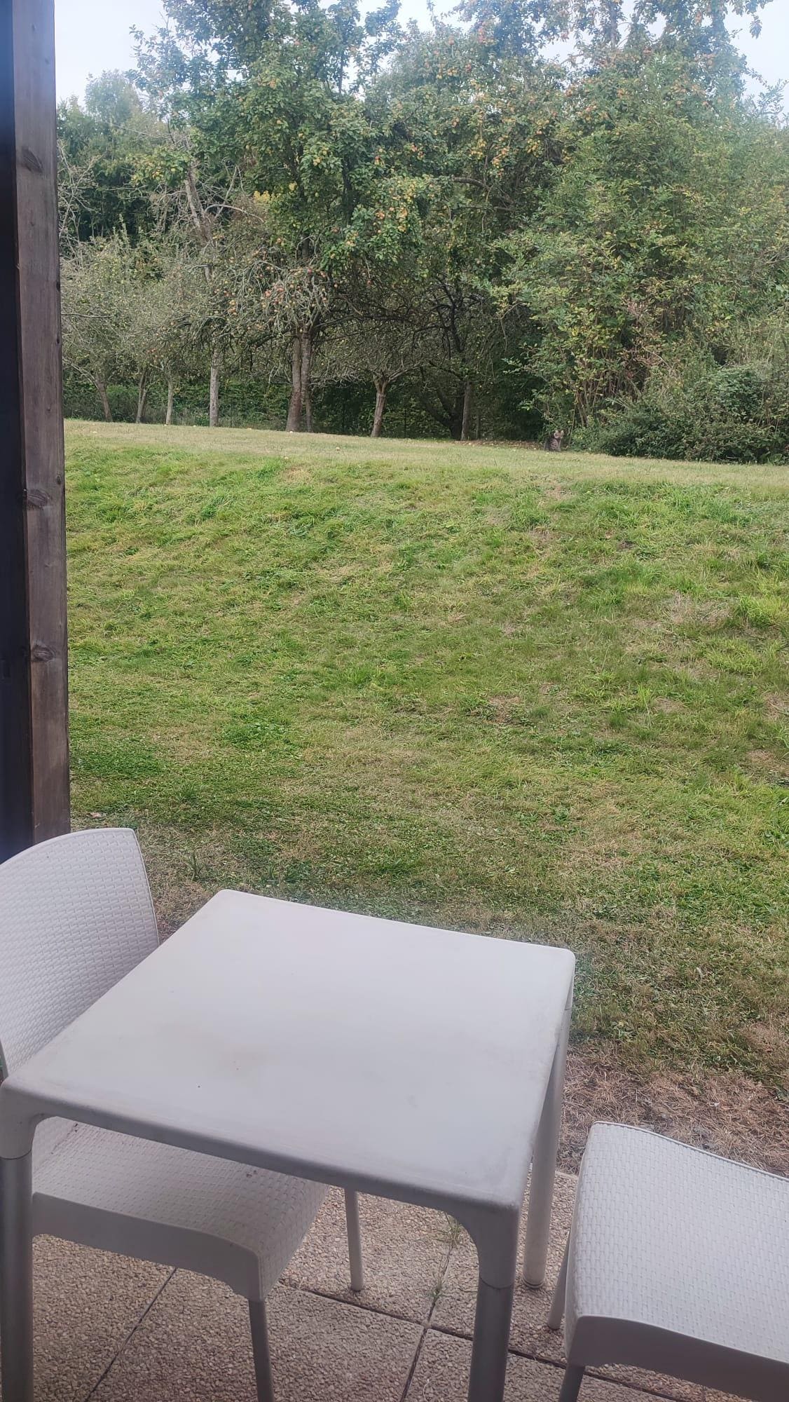 Vue de notre terrasse, attention si vous avez un chien, les terrasses sont ouvertes sur le parc