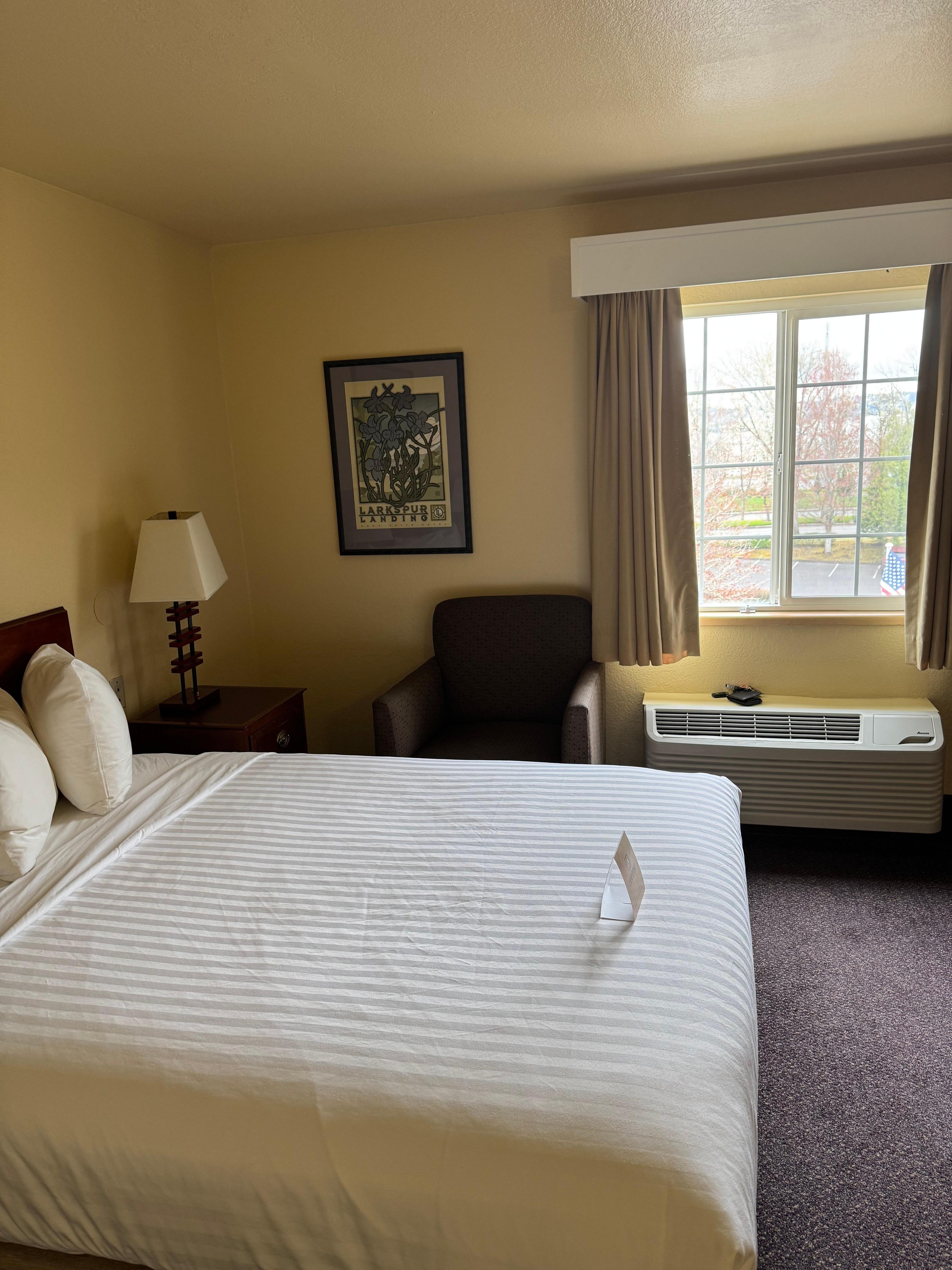 Queen bed ..comfy firm