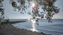 At the bay