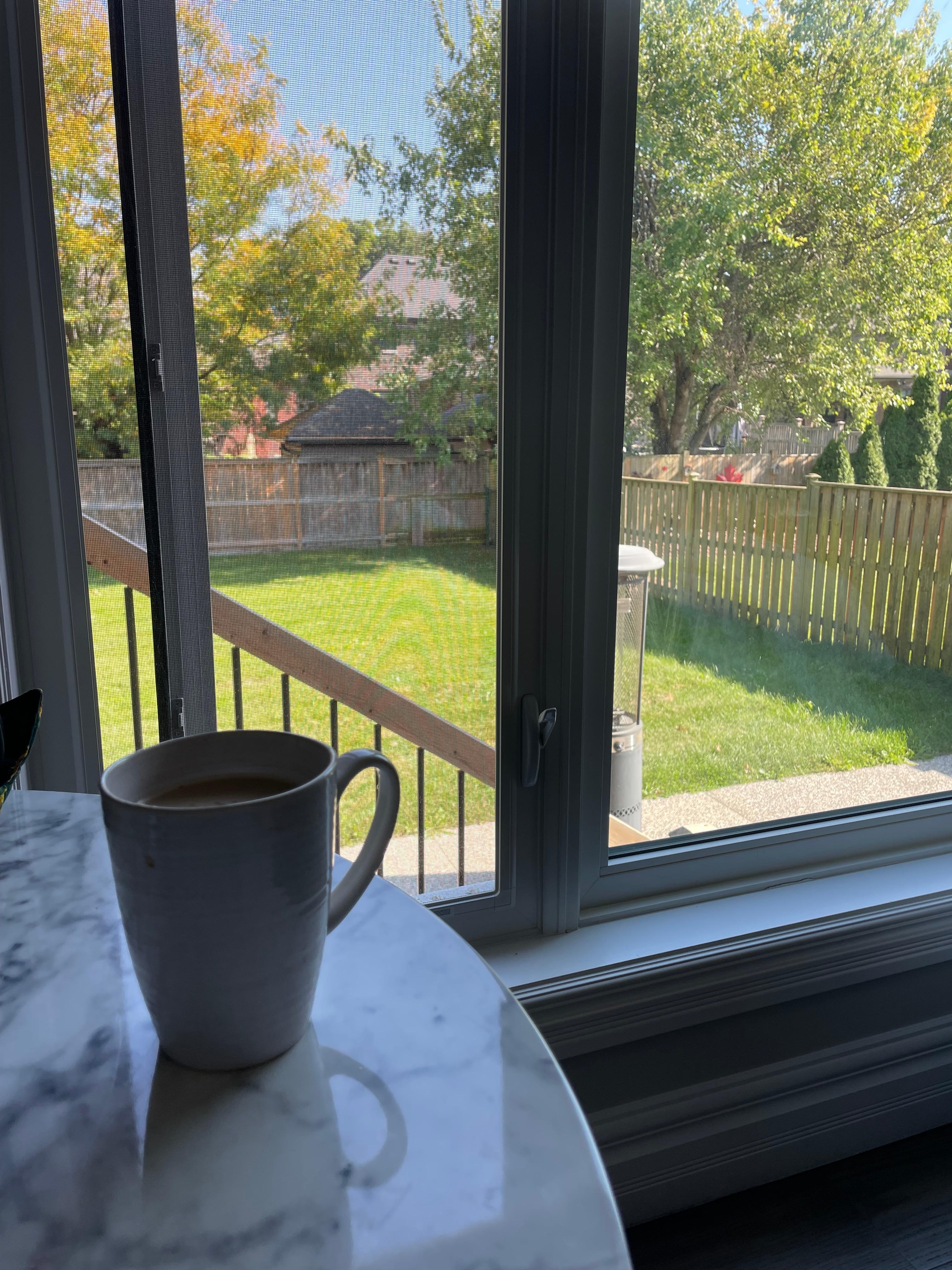 Sitting by the window with my am coffee. 