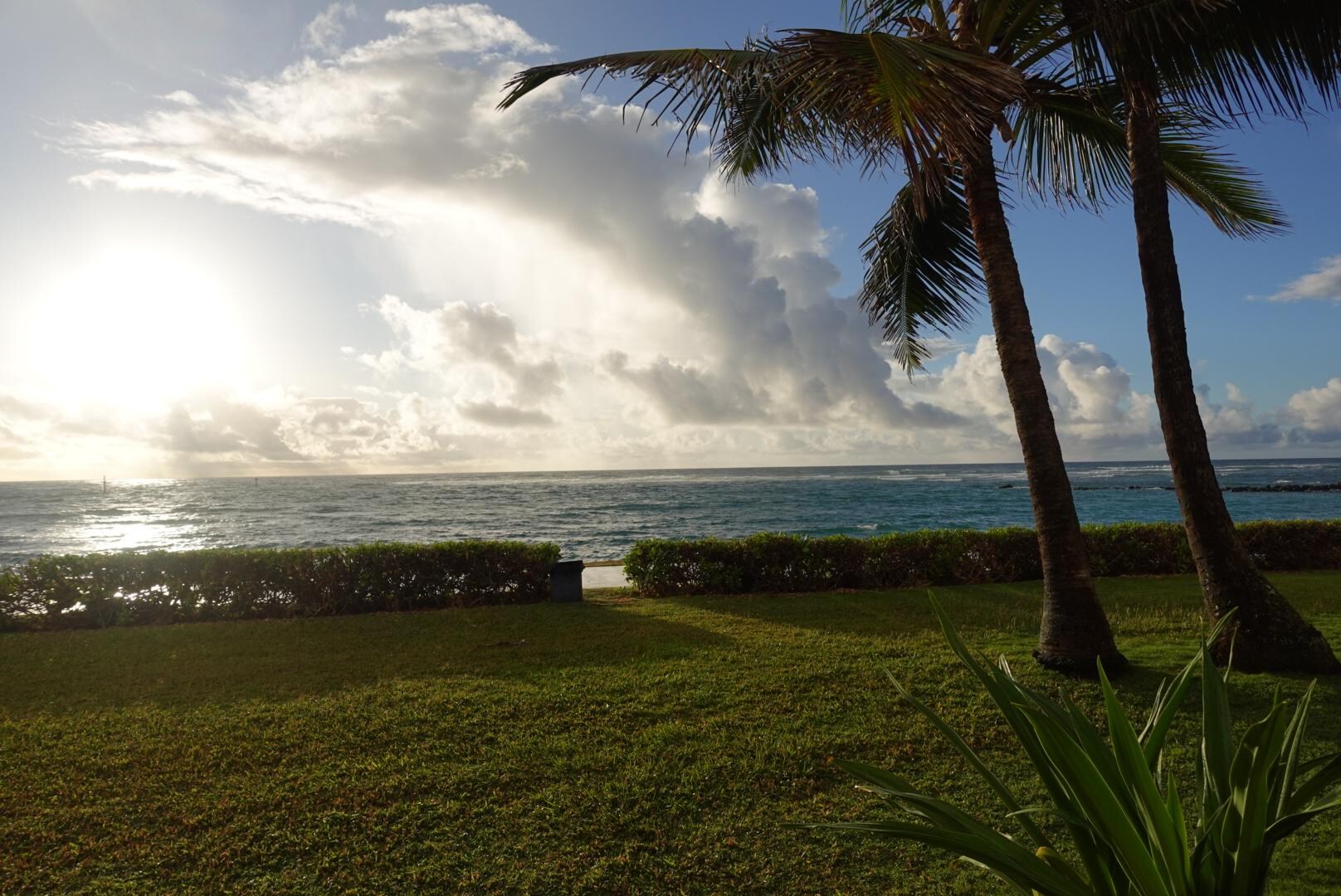 View from the lanai