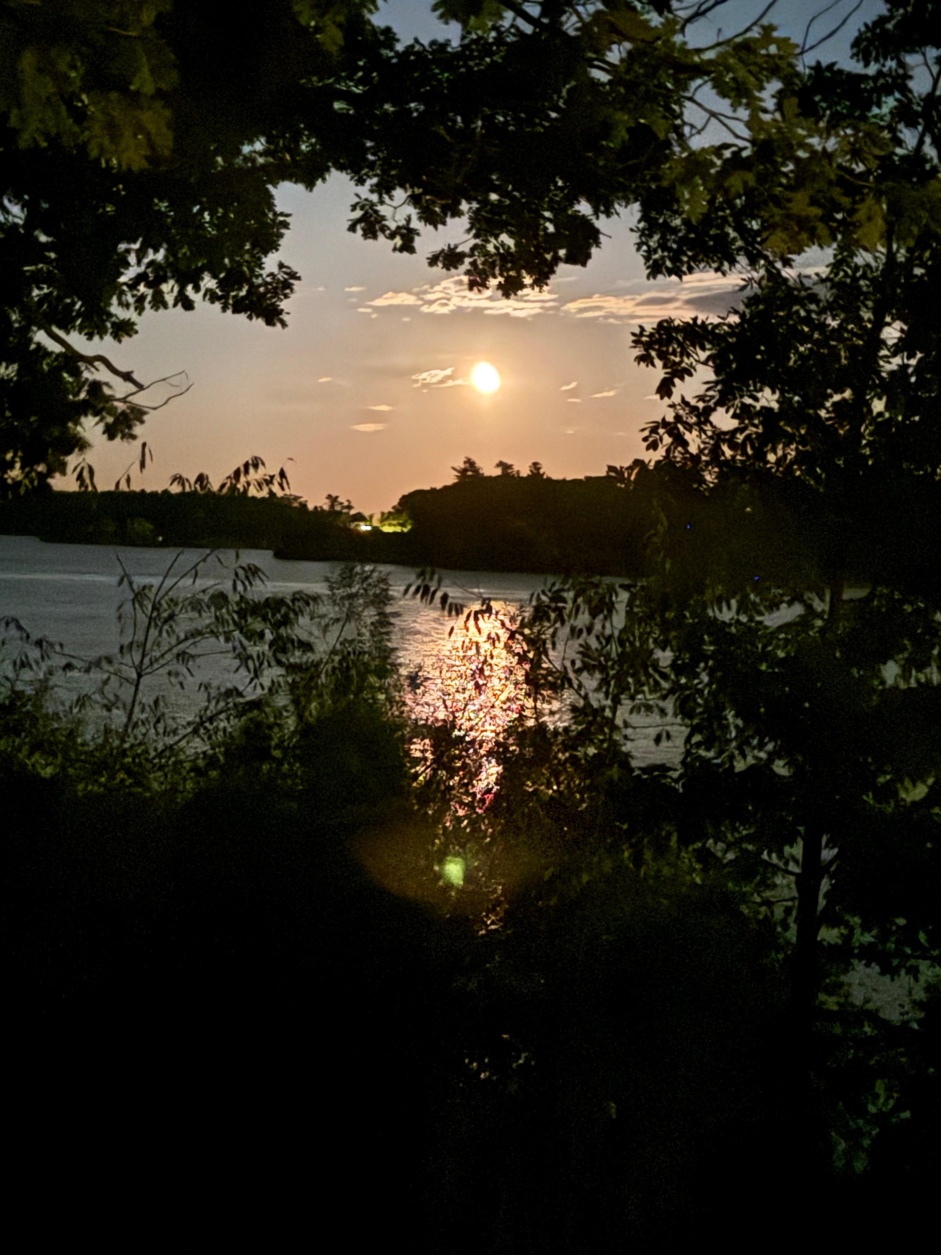 At night from the deck (flash) 
