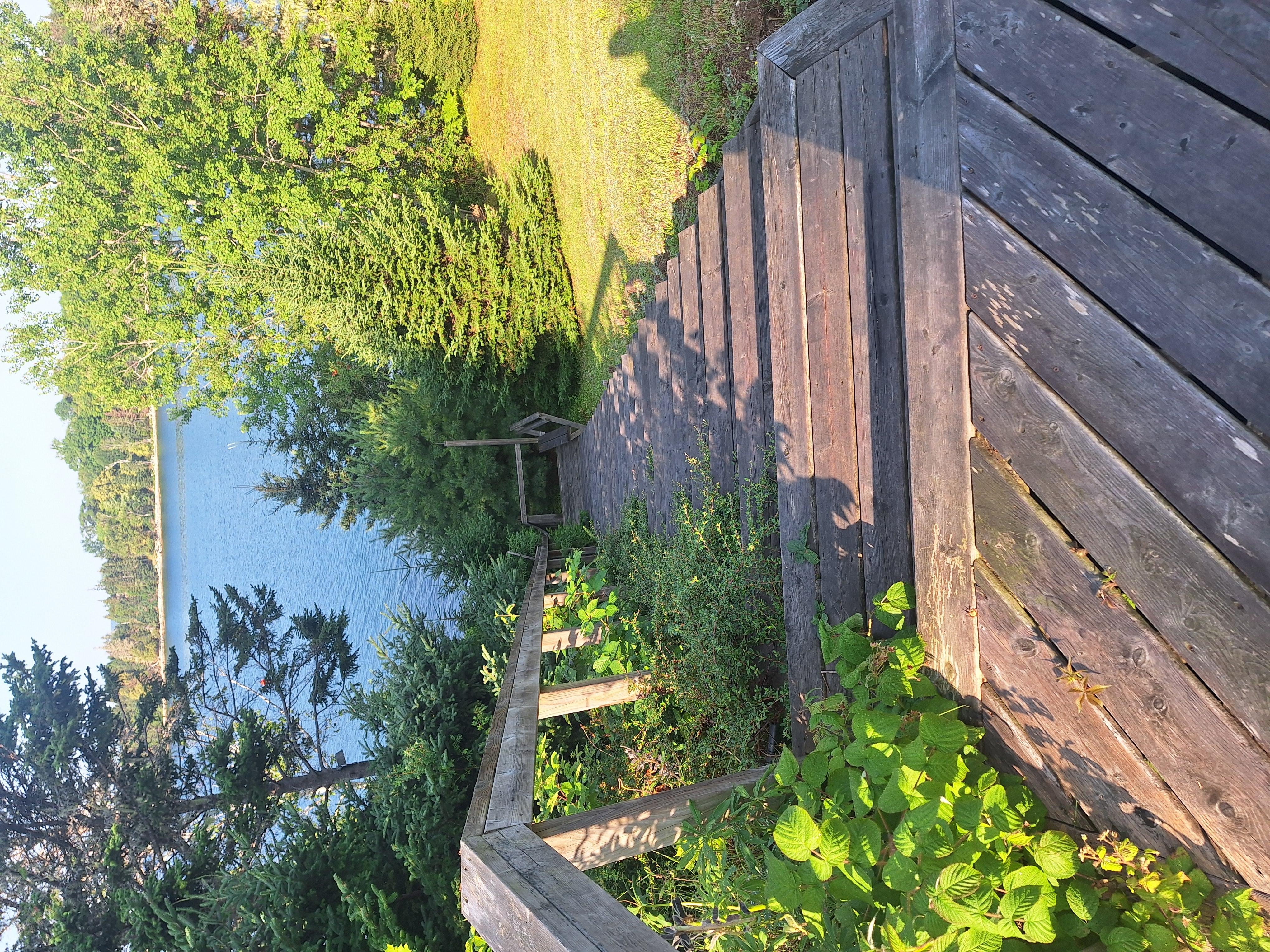 Solid staircase to the Cove, first batch.