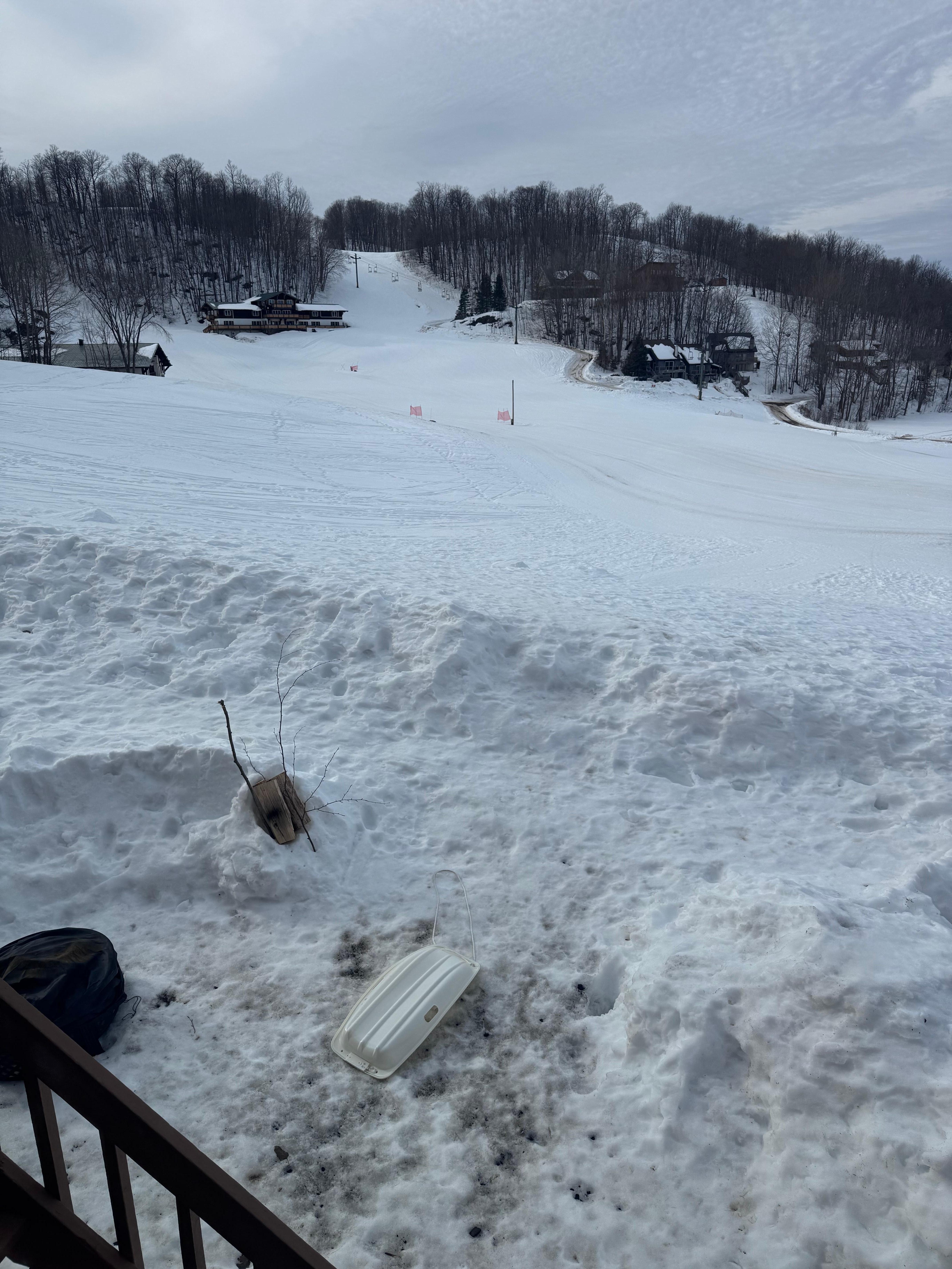 View out the kitchen window! 