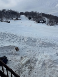 View out the kitchen window!