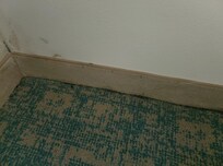 Mold on wall