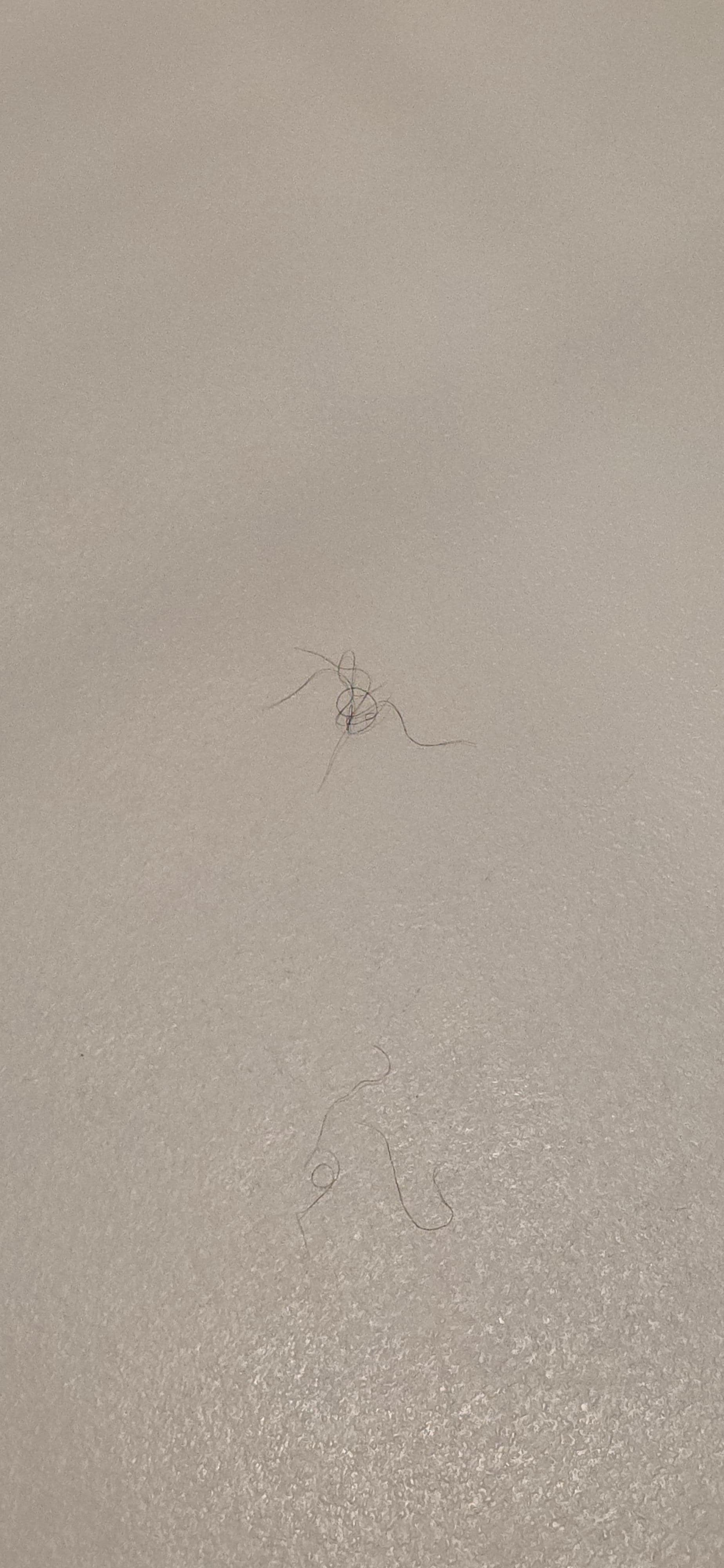 Public hair in shower