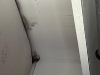 Mold in closet