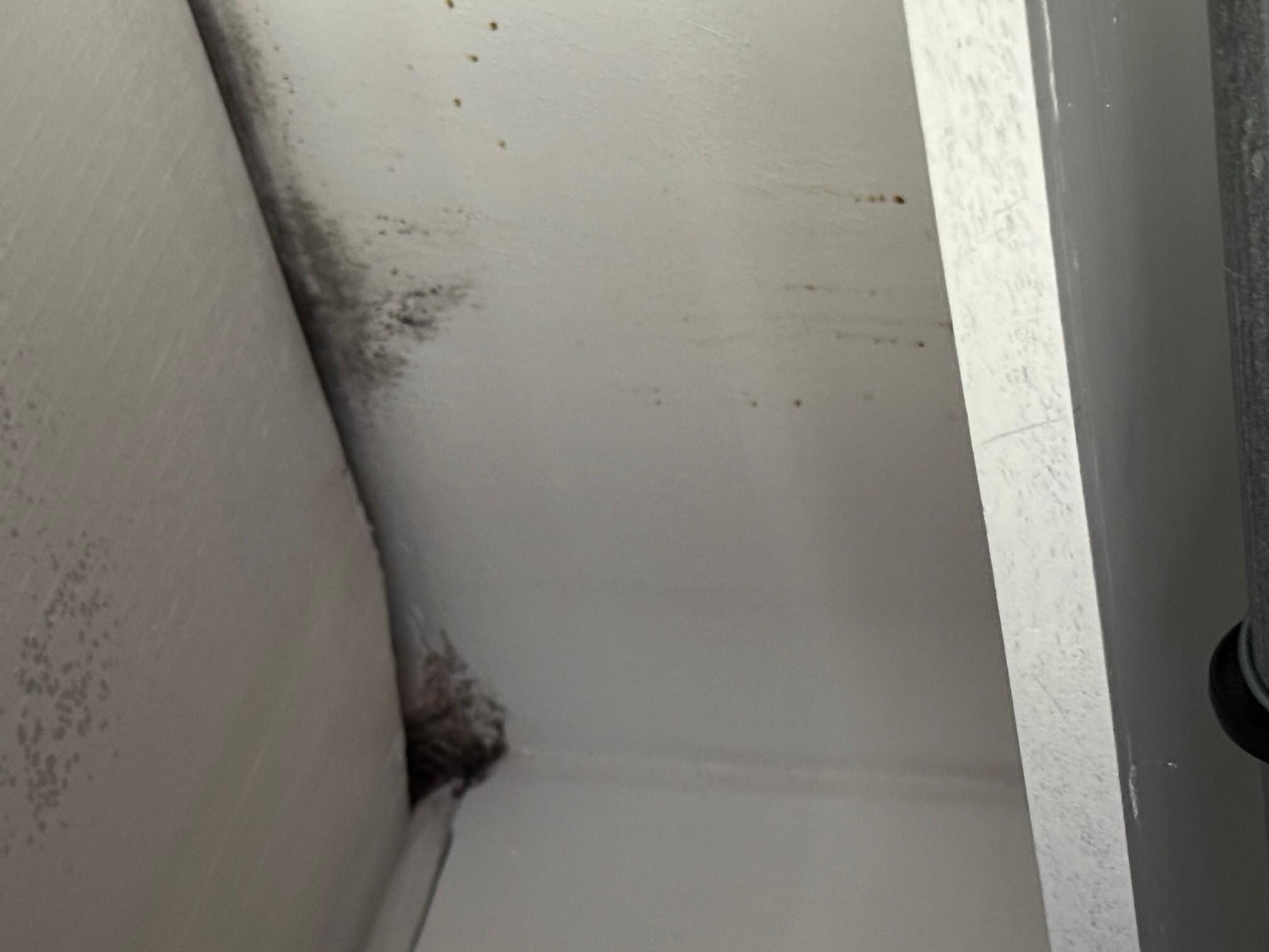 Mold in closet
