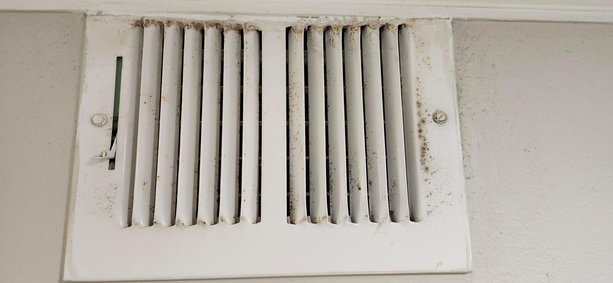Living Room Vent #1