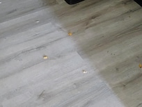 Unswept floor with pet hair