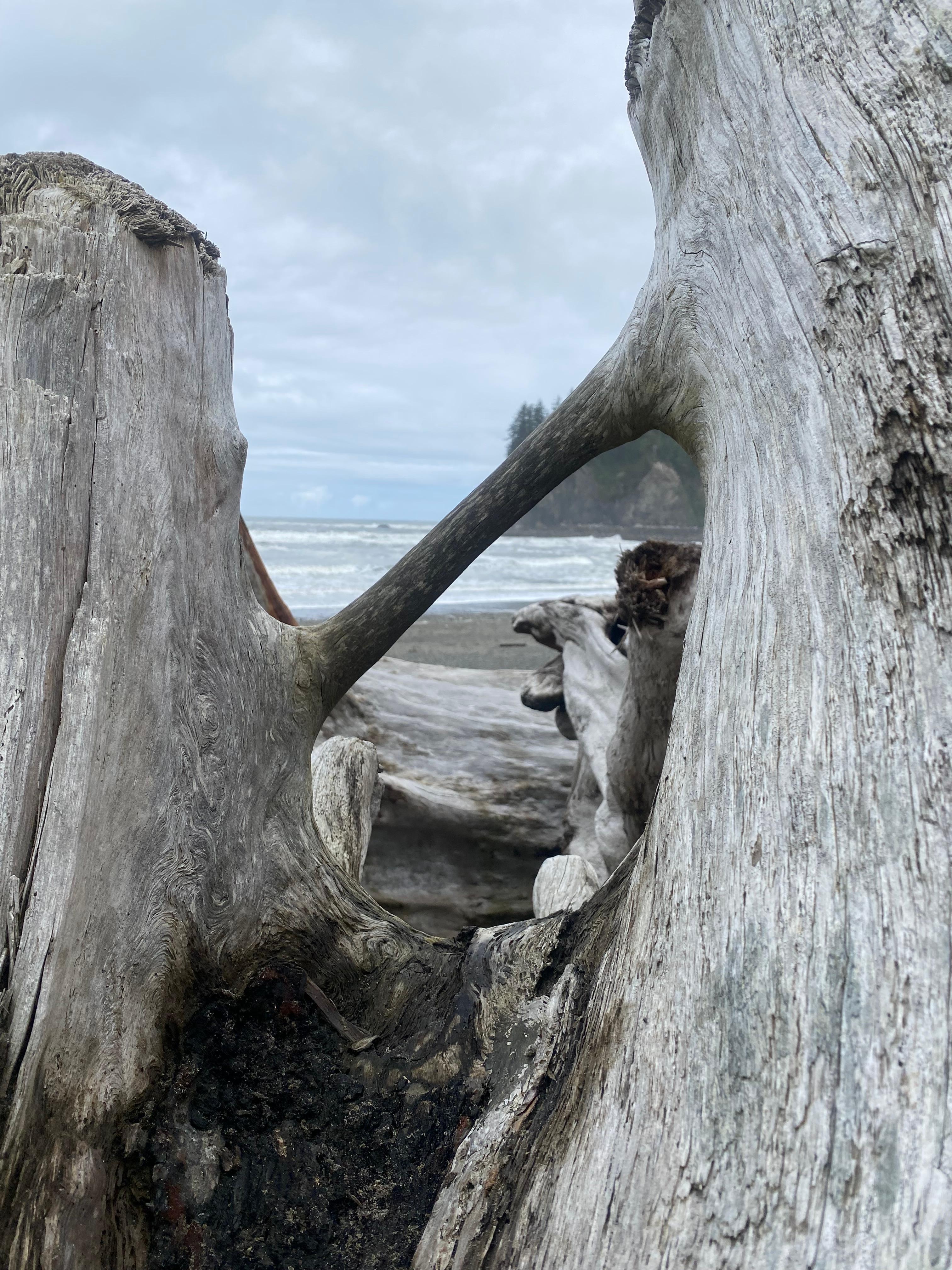 La Push