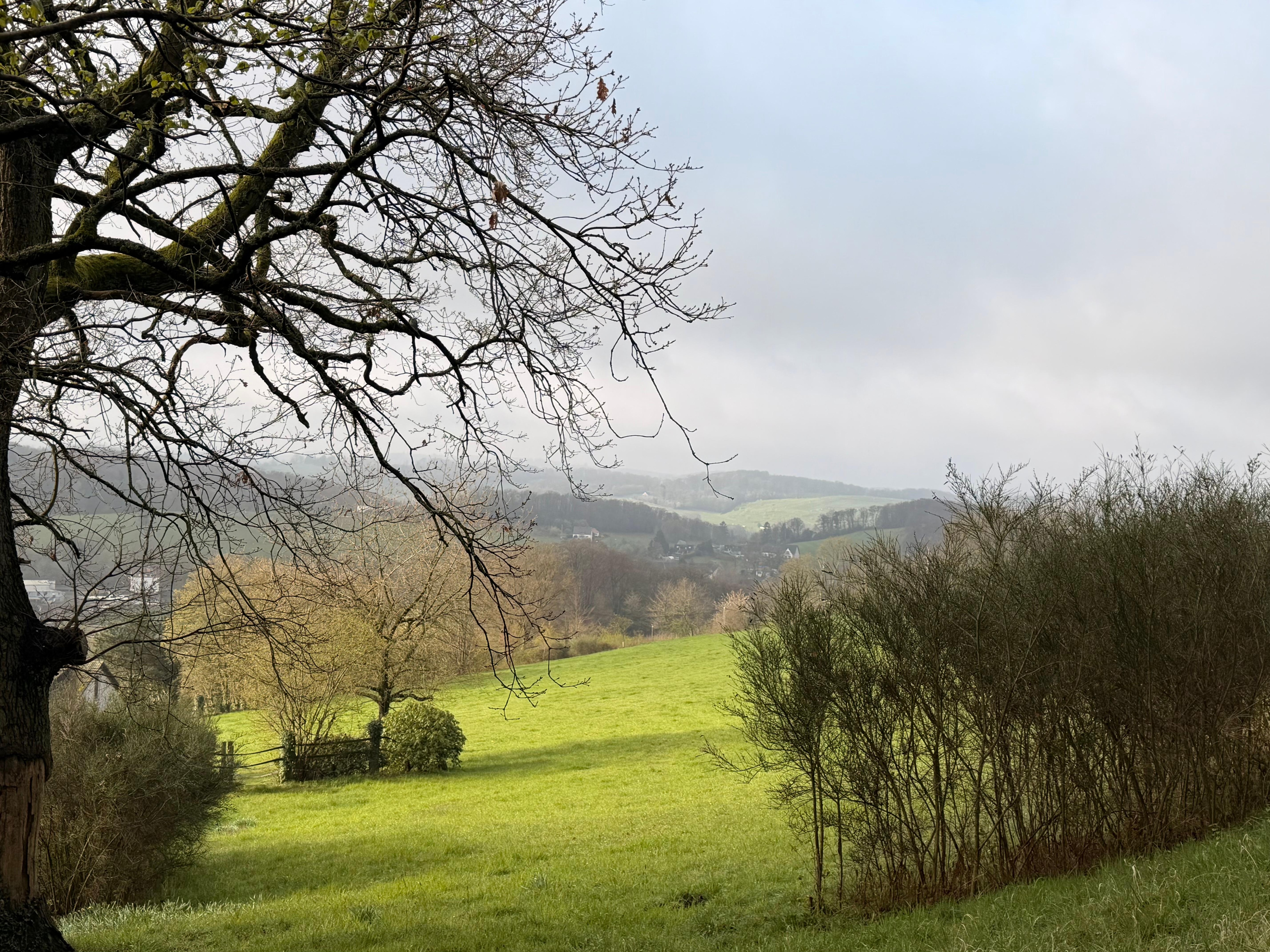 Der Blick vom Heierberg