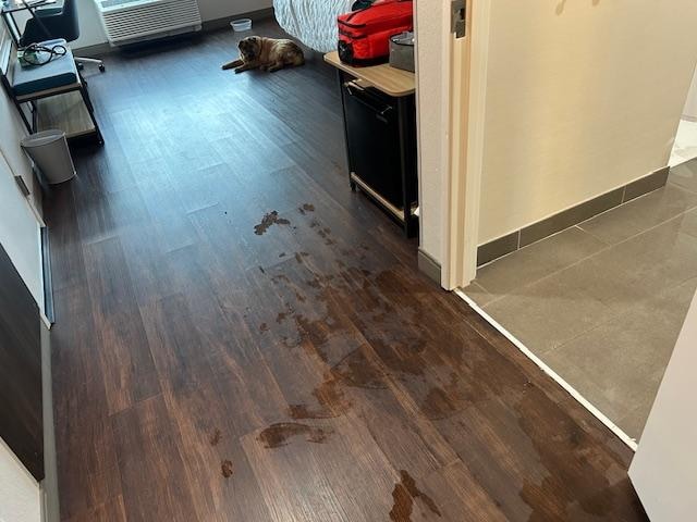 Water tracked out into the room