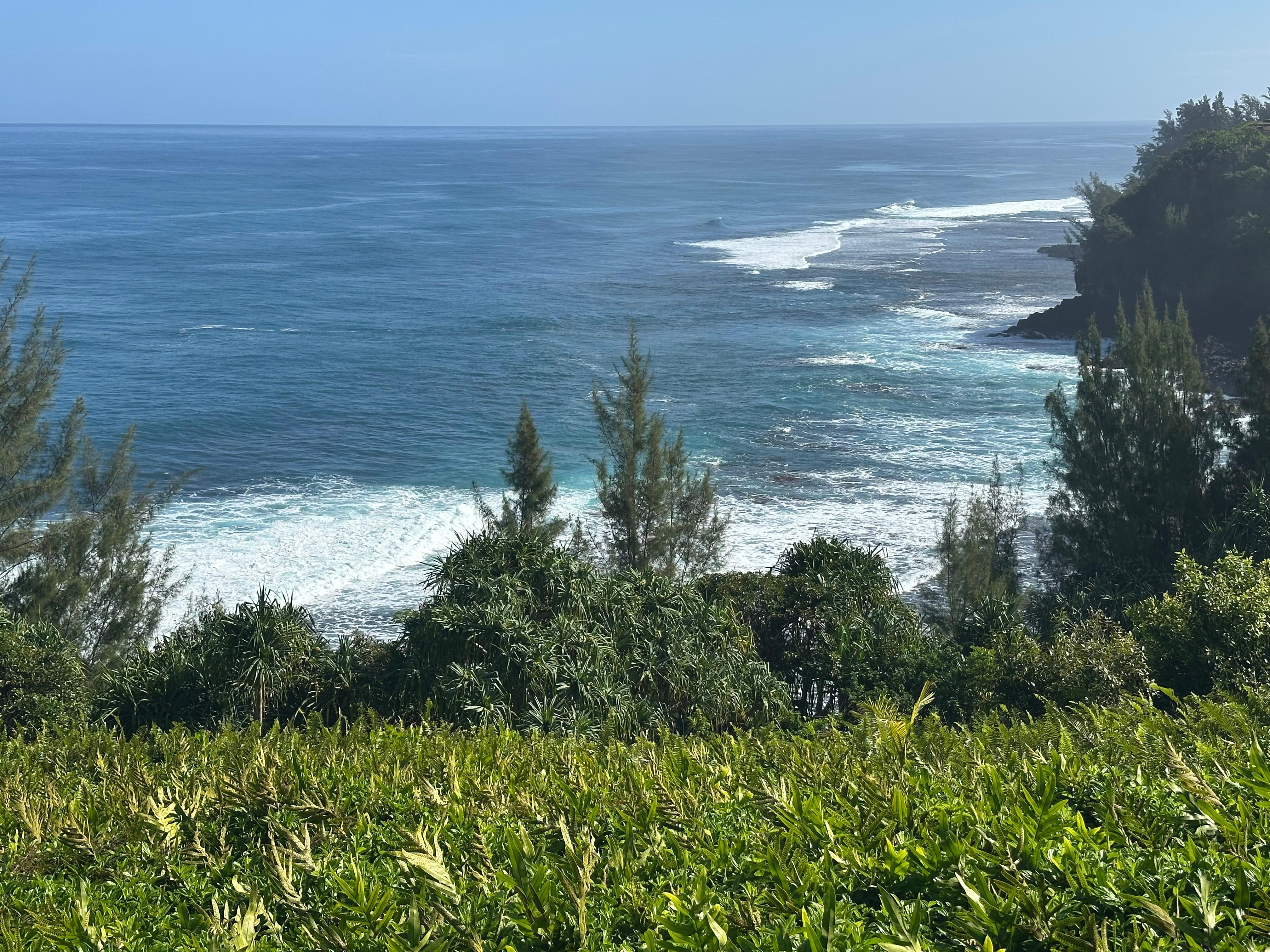 Unit 104 overlooks ocean