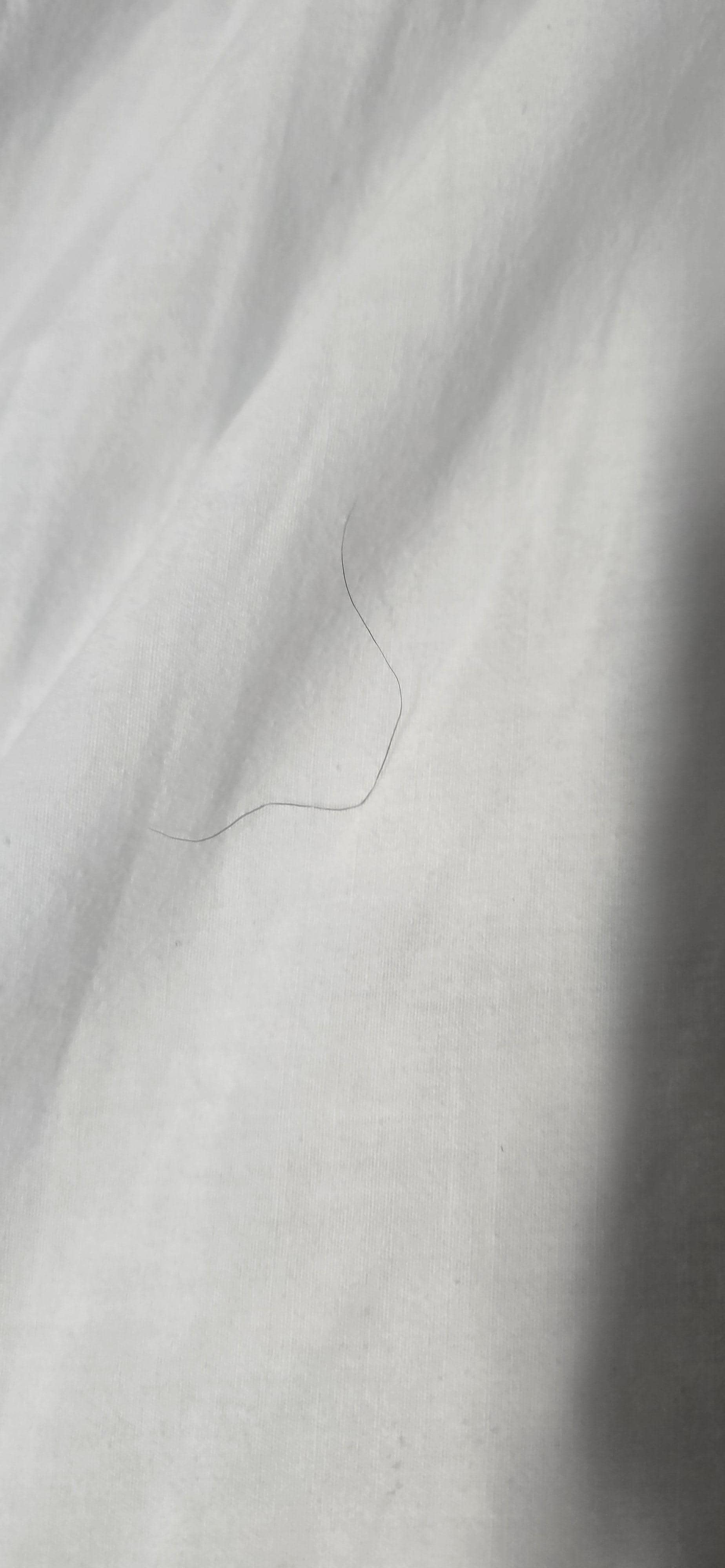 Hair on dirty sheets